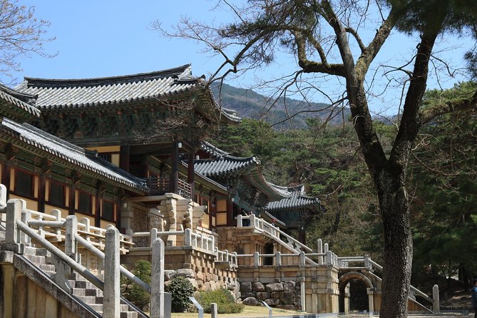 Gyeongju the UNESCO World Heritage Sites Tour(Private Tour) - Tour Reviews and Ratings