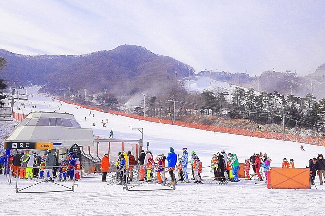 Jisan Ski Resort Serving Breakfast From Seoul (No Shopping) - Important Information to Note