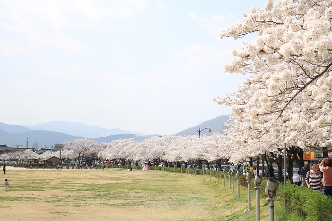 Korean UNESCO World Heritage Tour Including Gyeongju, Andong and Daegu(2n3d) - Accessibility and Special Requests