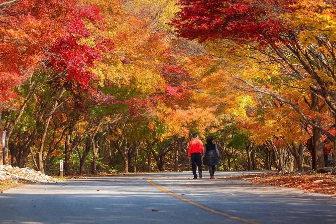 Magnificent Naejangsan National Park Autumn Foliage Tour From Seoul - Naejangsa Temple Visit Highlights