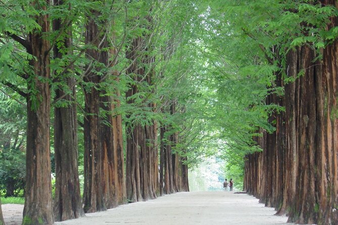 Nami Island & Mount Seorak Day Trip From Seoul - What to Expect on the Tour