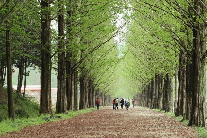 Nami Island& Petite France& Garden of Morning Calm& Italian Village One-Day Tour - Tour Inclusions and Prices