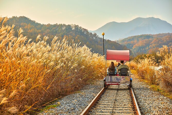 Nami Island & Petite France & Italian Village & Gangchon Rail Bike One-Day Tour - Tour Logistics and Operations