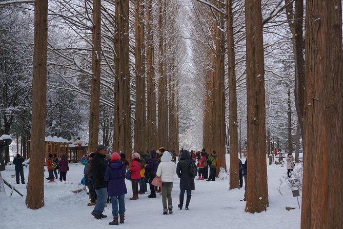 [Perfect Private Tour] Nami Island, Petite France and Organic Strawberry Farm - What to Expect on This Tour