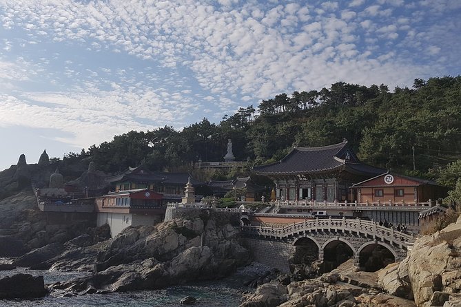 (Private) 9-Days Tasty Journey Around South Korea Tour - Enjoying Beachside Towns and Cities