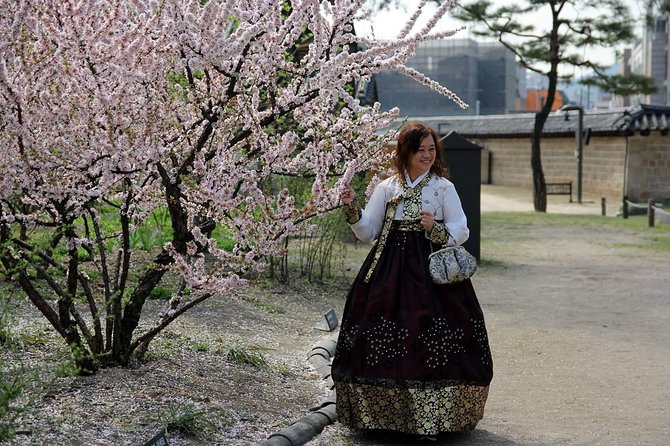 Private Day Tour Korea(Seoul) With Professional Photographer - What to Expect From Your Tour