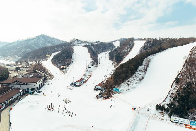 [Private Tour] Nami Island & Snow Viewing and Snow Sled (More Members Less Cost) - Cancellation and Refund