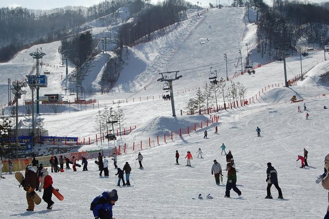 Ski Tour to Jisan Ski Resort From Seoul - Important Notes and Reminders