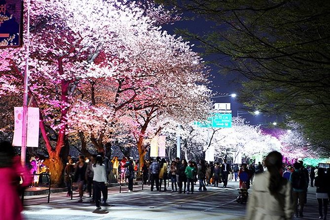 Spring 6 Days Cherry Blossom Jeju&Busan&Jinhae&Gyeongju on 31 Mar to 10 Apr - Traveler Reviews and Ratings