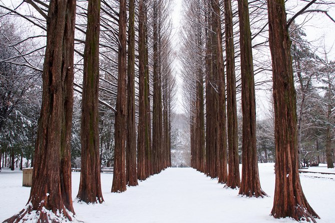 Winter Fun at Vivaldi Ski Resort With Romantic Winter Scenery at Nami Island - Important Trip Information