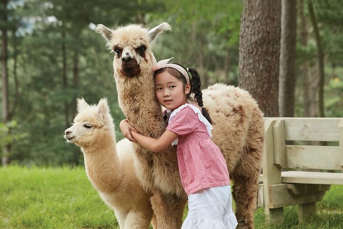 Alpaca World & Suspension Bridge Day Tour With Luge Ride - Cancellation and Refund Policy