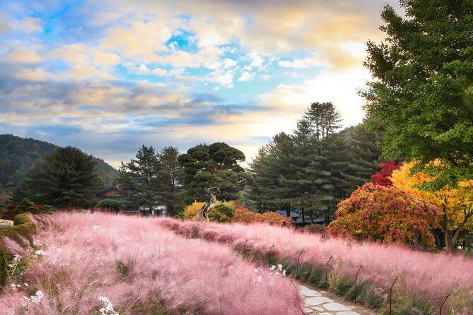 Alpaca World Tour With Nami Island & Optional Railbike or Garden - Exploring Nami Island Delights