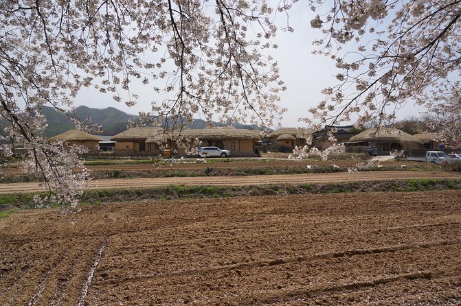 Andong Hahoe Folk Village [Unesco World Heritage] Private Tour From Seoul - Reviews From Past Travelers