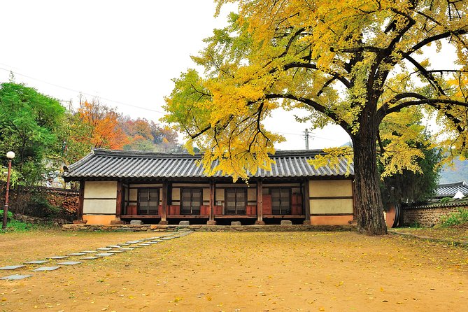 Autumn 10 Days Jeonju&Mt.Naejangsan&Mt.Seorak&Mungyeong&Jeju&Busan on Early Nov - Traveler Reviews and Ratings