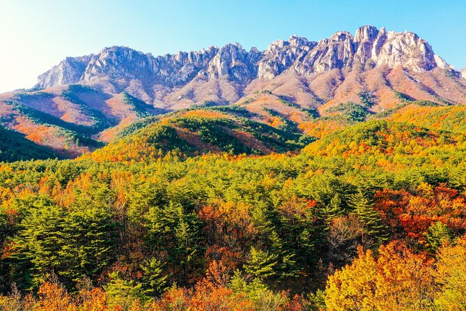 Breathtaking Autumn at Seoraksan National Park - Safety and Precautions