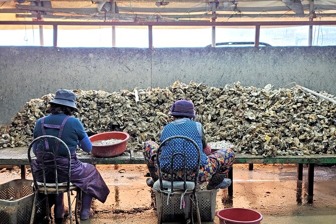 Busan Oyster Village Tour With Oyster Cuisines in Winter - Traveler Reviews and Ratings