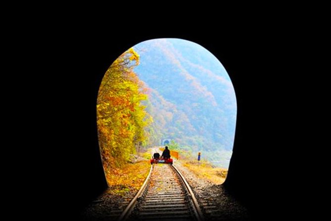 Day Tour to Gangchon Rail Bike Nami Island and Petite France - Tour Reviews and Ratings