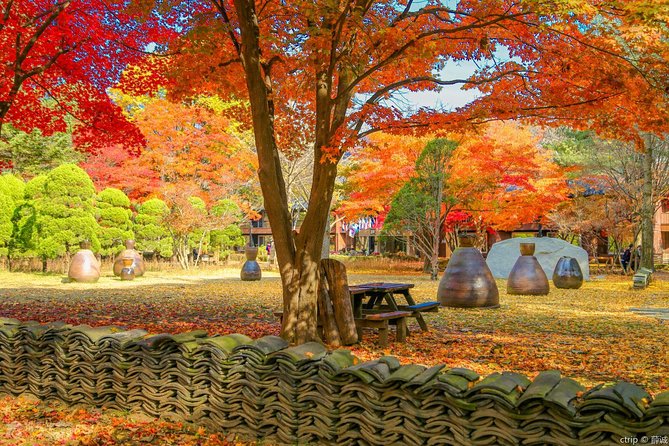 Easy Private Tour to Nami Island, Garden of Morning Calm - Cancellation and Refund Policy