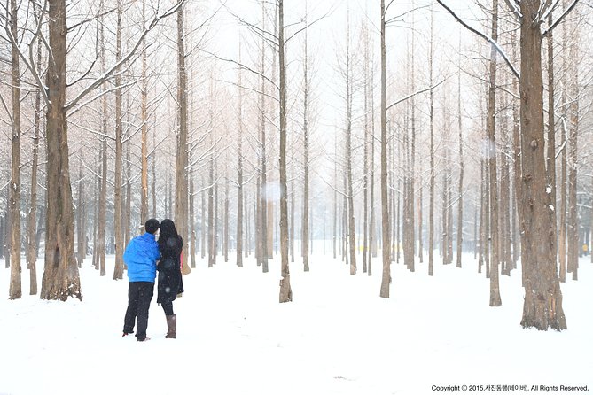 Elysian Gangchon Ski Resort With Nami Island Day Tour From Seoul - Booking and Confirmation