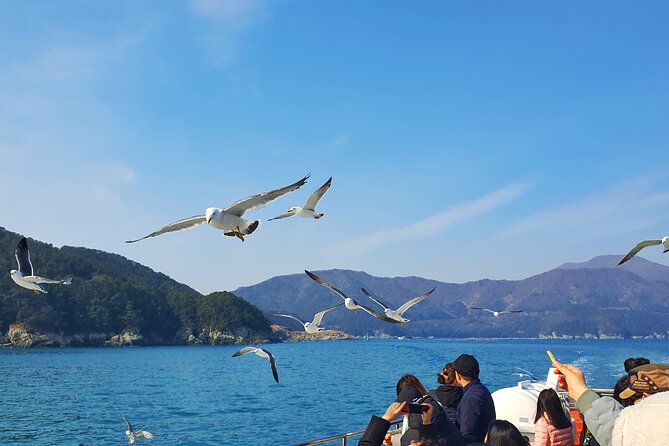 Enchanting Oedo Island Day Tour From Busan - Meeting Points and End Points