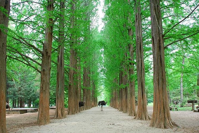 Full-Day Customizable Private Tour to Nami Island and Surrounding Area - Cancellation and Refund Policy