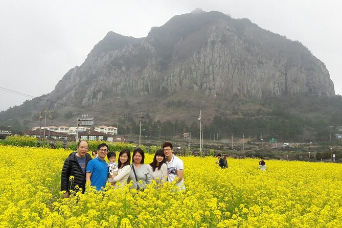 Full Package Tour of All Areas of Jeju Island-(East &South &West) - Inclusions and Exclusions