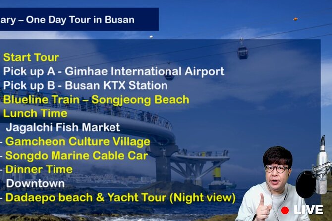 Fun & Informative Busan in Korea Virtual Tour - Reviews From Past Travelers