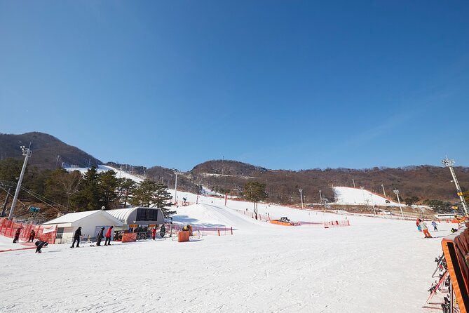 Jisan Ski Resort Serving Breakfast From Seoul (No Shopping) - Reviews and Ratings Overview