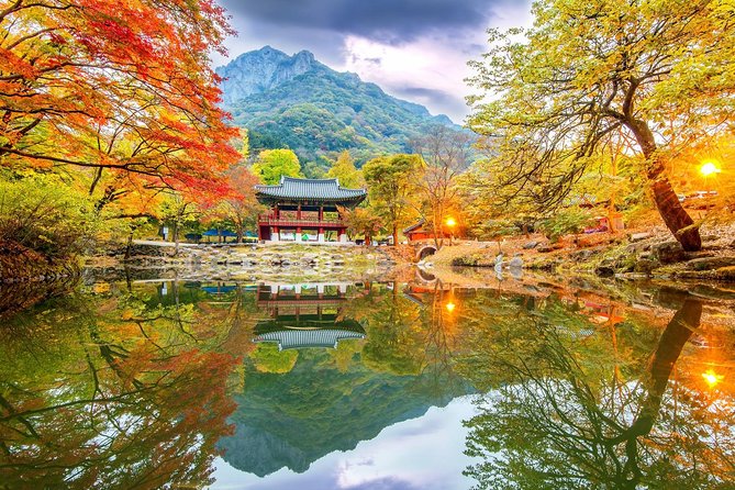 Magnificent Naejangsan National Park Autumn Foliage Tour From Seoul - Travel Tips and Essentials