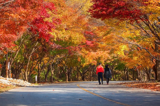 Naejangsan National Park Autumn Foliage Tour From Busan - Autumn Foliage Tour Itinerary