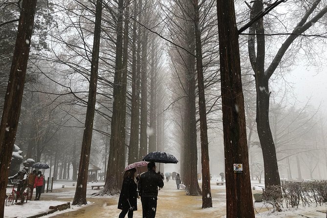 Nami Island and Petite France With the Garden of Morning Calm One Day Tour - Reviews and Ratings Overview