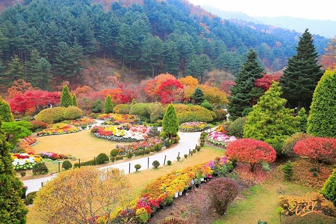 Nami Island With Garden of Morning Calm Trip - Getting to Nami Island