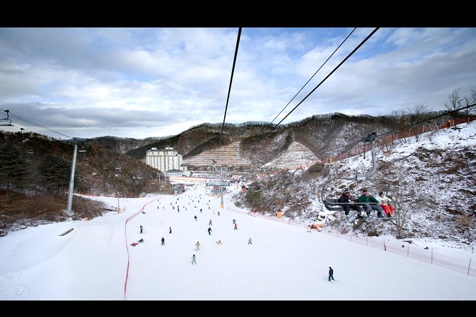 Private 1:1 Ski Lesson Near Seoul, South Korea - Pricing and Booking Information