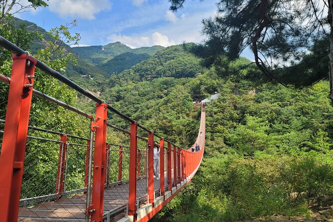 Private DMZ Tour and Suspension Bridge + Korean BBQ - Pricing and Booking Policies