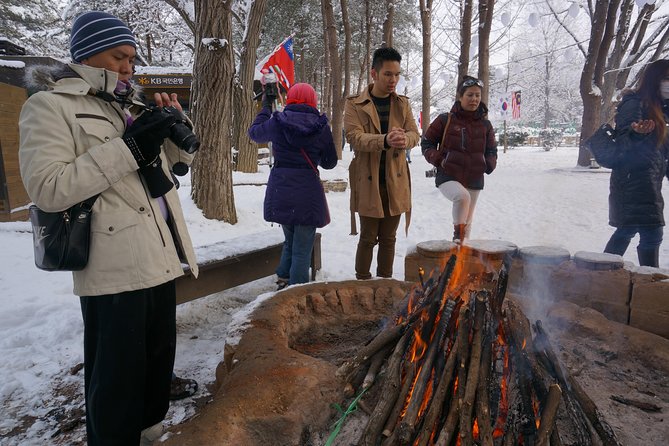 Private Tour: Nami Island & (Alpaca World or Morning Calm) - Tour Logistics Details