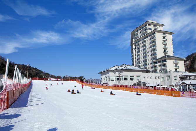 [Private Tour] Nami Island & Snow Viewing and Snow Sled (More Members Less Cost) - Reviews and Ratings