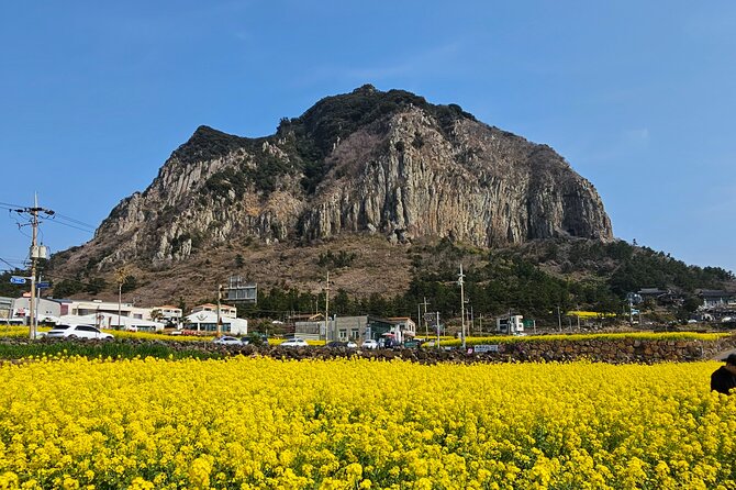 Private Tour South and West Jeju Island With Experienced Driver - Pricing and Packages