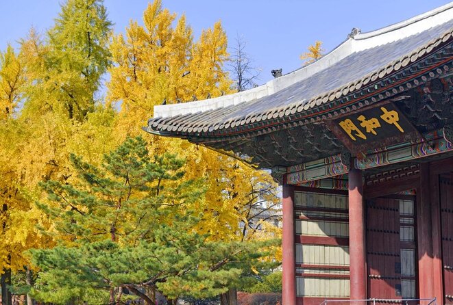 Seoul : Deoksugung Palace Half Day Walking Tour - Reviews From Past Travelers