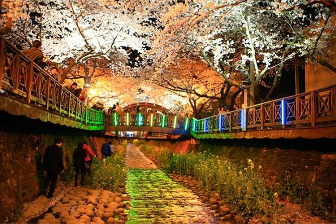 Spring 6 Days Cherry Blossom Jeju&Busan&Jinhae&Gyeongju on 31 Mar to 10 Apr - Spring Cherry Blossom Itinerary