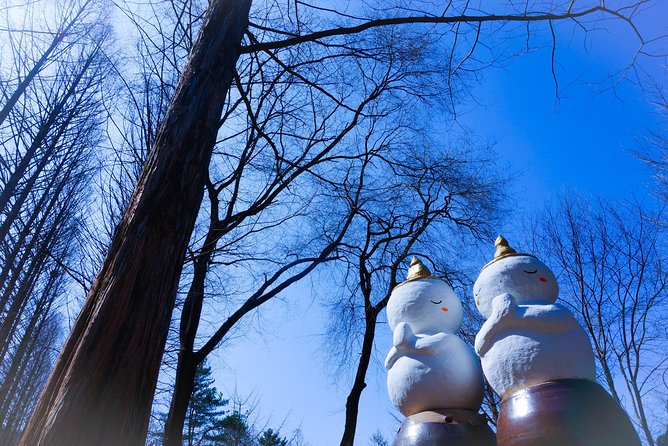 Winter Fun at Vivaldi Ski Resort With Romantic Winter Scenery at Nami Island - Reviews and Ratings Overview