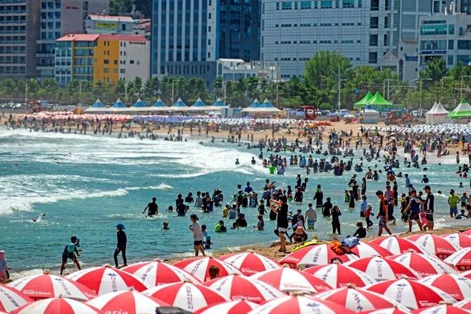 1-Day Busan and INCLUDED Night Tour - Reviews and Pricing Information