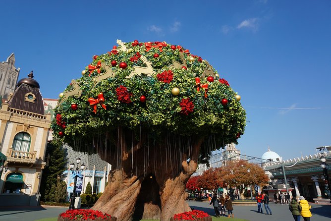 EVERLAND From Hotel to Hotel [Premium Private Tour: Only One Group for You] - Reviews and Ratings From Travelers