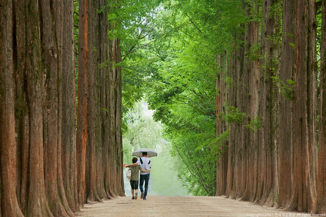 Full Day Private Tour Nami Island, Garden & Petite France - Tour Schedule and Itinerary