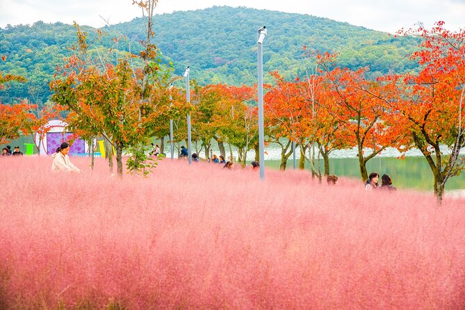 Historic and Natural Beauty- Gyeongju Autumn Foliage Day Tour - Gyeongjus Rich History Unveiled