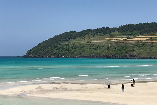 Jeju Island Guided Tour for 9 Hours With a Van - Reviews and Ratings From Travelers