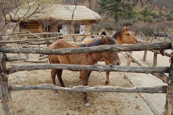 Korean Folk Village Afternoon Tour From Seoul - Cancellation and Refund Policy