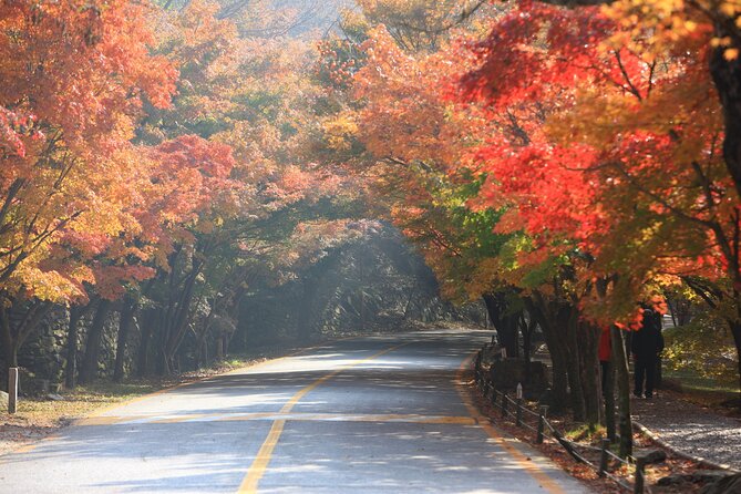 Naejangsan National Park Autumn Foliage Tour From Busan - Tips for Visiting Naejangsan