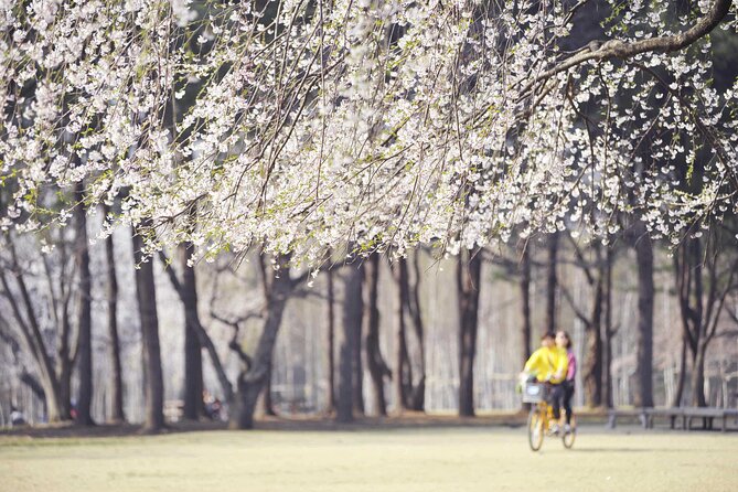 Nami Island & Mount Seorak Day Trip From Seoul - Tour Inclusions and Exclusions