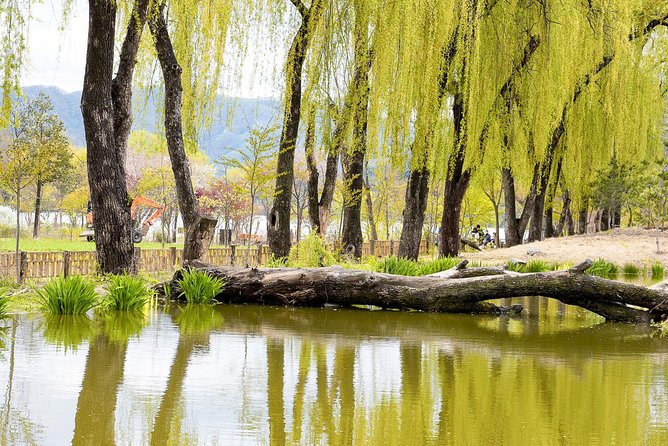 Nami Island & Petite France With Italian Village One-Day Tour - Cancellation and Refund Policy