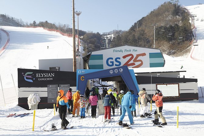 Private 1:1 Ski Lesson Near Seoul, South Korea - What to Expect on the Lesson